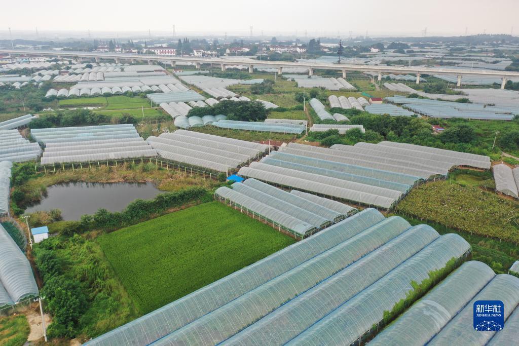 幸运水果机游戏单机版